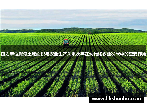 亩为单位探讨土地面积与农业生产关系及其在现代化农业发展中的重要作用
